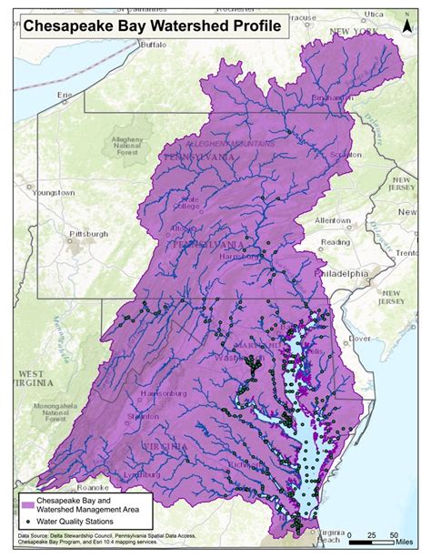 Chesapeake Bay and Watershed ~ MAVEN'S NOTEBOOK | Water news