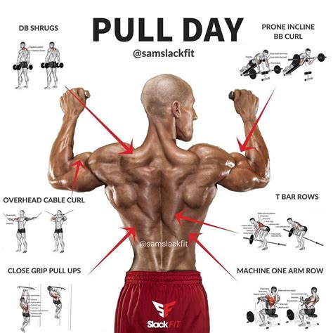 PULL DAY ⠀⠀⠀⠀⠀⠀⠀⠀ For me I like to do a variation of a pull up or lat pulldown at the start of ...