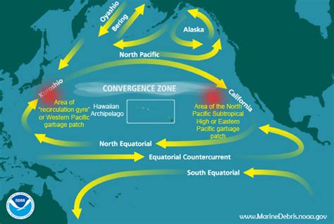 Microplastics, Gyres, and the Great Pacific Garbage Patch- Marine Debris Part 2 - Namepa