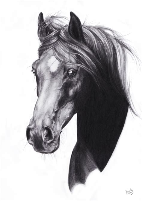 Arab Sketch by Yaveth | Abstract horse art, Horse head drawing, Horse drawings