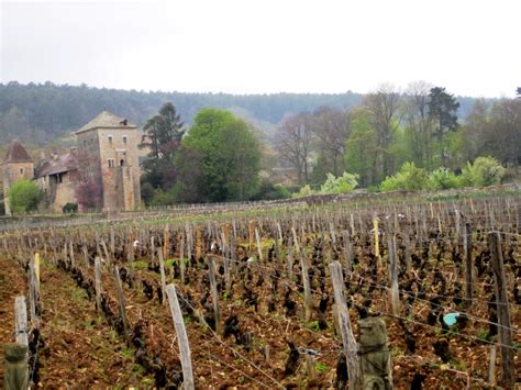 I love France #27: French wines and vineyards | Words And Peace