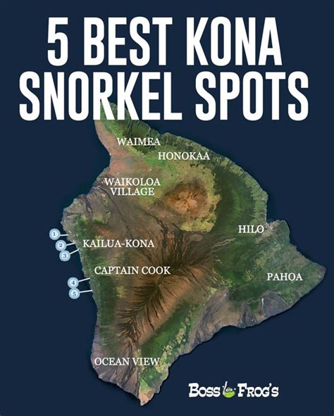 5 Best Kona Snorkeling Spots - Boss Frog's Snorkel, Bike & Beach Rentals