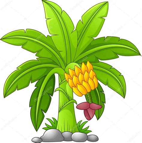 Banana tree on a white background Stock Vector by ©dreamcreation01 ...