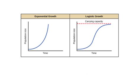 Exponential growth & logistic growth (article) | Khan Academy