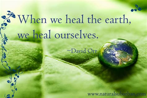 Healing Earth | Environment quotes, Buddha quotes life, Earth quotes