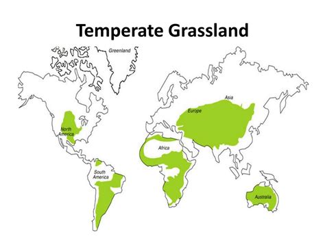 Temperate Grasslands Biome Location Plants Animals