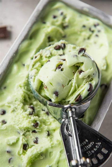 Low Fat Mint Chocolate Chip Ice Cream | LaptrinhX / News