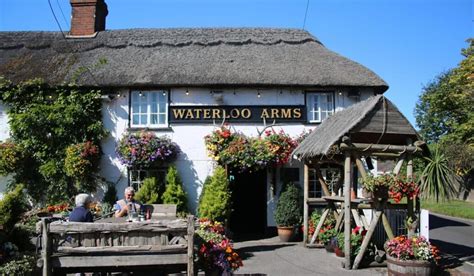 The best pubs in The New Forest - Complete 2021 guide!