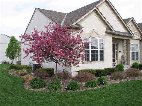 Dwarf Crabapple Trees are also an early bloomer. The dwarf varieties don't get out of control ...