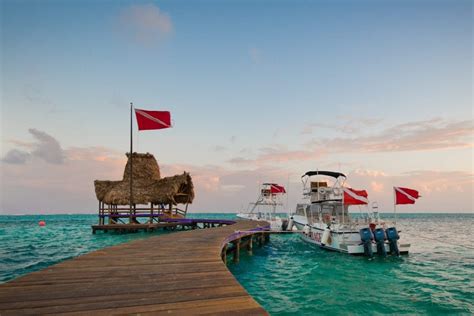 The Best of Belize Resorts Fit for Dive Enthusiasts | Scuba Diving Belize