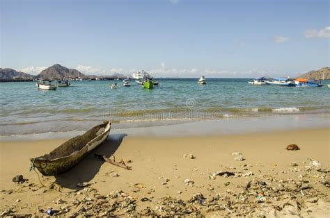 Komodo Island Beach stock image. Image of beaches, beach - 44162957