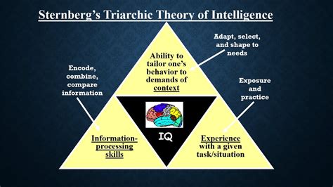 Theories of Intelligence ( #Educational #Psychology ) Part I - YouTube