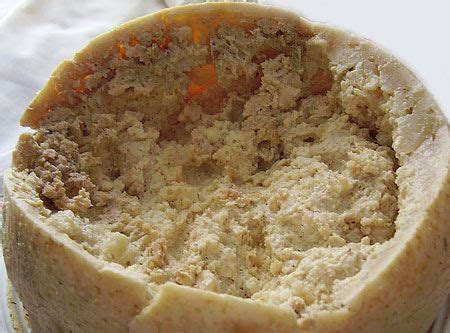 Casu Marzu, the Most Dangerous Cheese on the Planet | Italian Food Recipes# | Genius cook ...