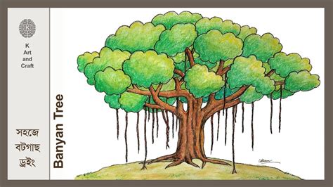 How To Draw Banyan Treestep By Step Drawing Easy Drawing 2020 | Images ...