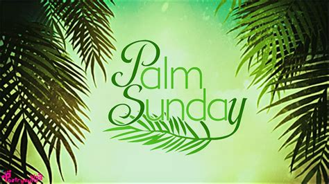 38 Best Palm Sunday Images, Wishes, Greetings & Photos | PICSMINE