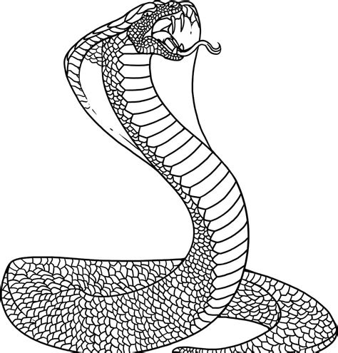 Free Printable Snake Coloring Pages For Kids - Animal Place