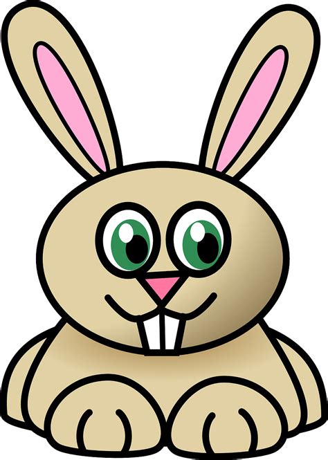 Rabbit,animal,cartoon,pet,farm - free image from needpix.com