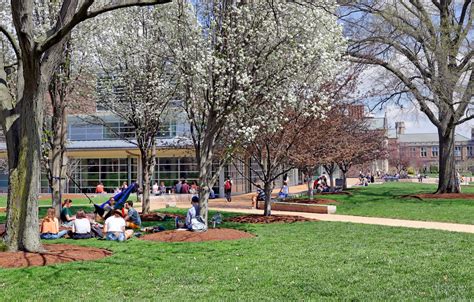 For Visitors and Alumni - WashU Libraries