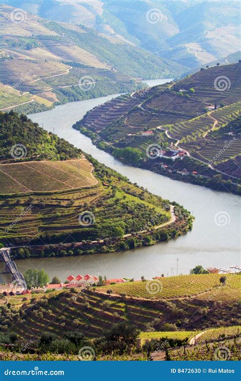 Port Wine Vineyards Landscape Stock Photo - Image of farming, export: 8472630