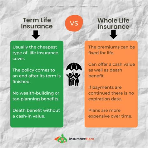 Whole vs Term Life Insurance Guide 2024 | Insurance Hero