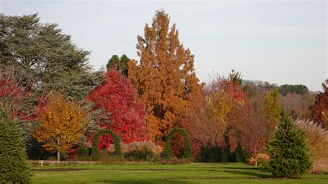 Fall Homeschool Day - Hershey Gardens