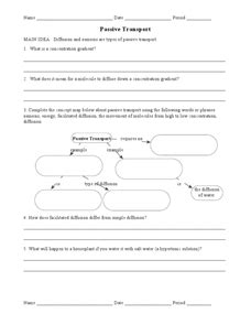 Passive and Active Transport 9th - 12th Grade Worksheet | Lesson Planet