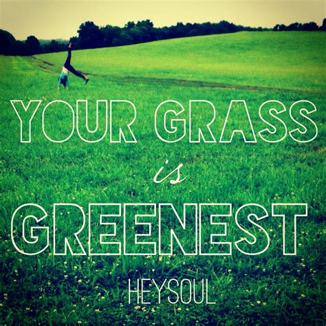 Your grass is greenest! #quote #inspiration #happy #heysoul #courage #greengrass | Positive ...