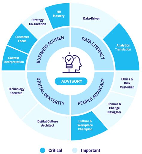 HR Career Path: Everything You Need to Know - AIHR