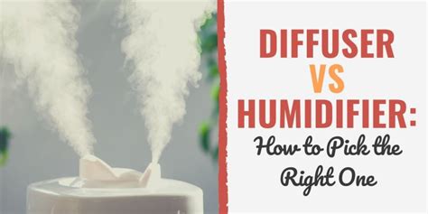 Diffuser Vs Humidifier: How to Pick the Right One
