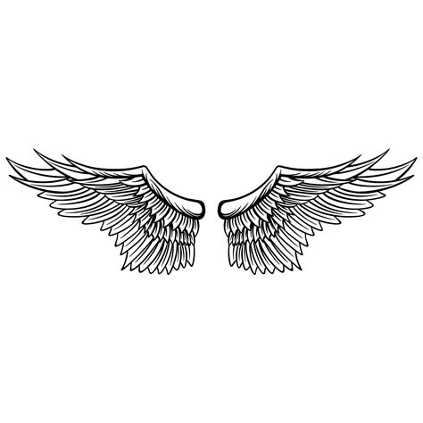 Premium Vector | Eagle wings vector design