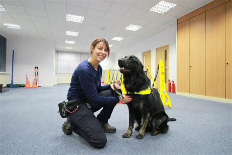 Guide Dogs expands its training center in Nottingham – Pup Breeds