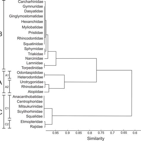 Similarity analysis of elasmobranch families per number of species ...