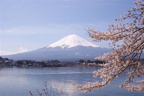 ファイル:Lake Kawaguchiko Sakura Mount Fuji 4.JPG - Wikipedia