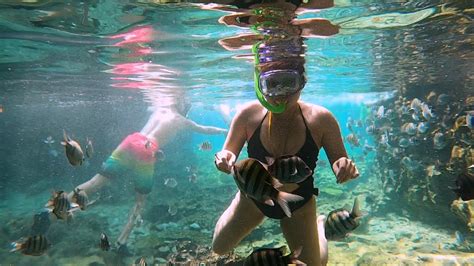 Snorkeling in Xcaret - YouTube