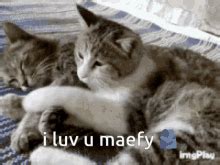 Ily GIF - Ily - Discover & Share GIFs