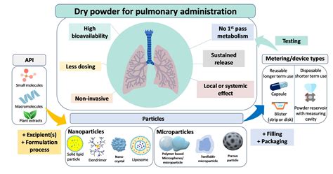 Inhalation Dosage Forms: A Focus on Dry Powder Inhalers and Their Advancements