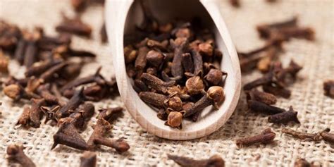 6 Incredible Uses of Cloves in Your Backyard – How to Care Of Your ...