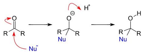 What Is Nucleophilic Addition Reaction With Example - Carol Jone's Addition Worksheets