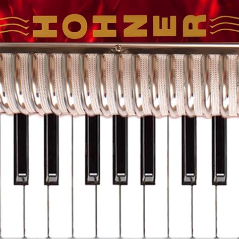 Hohner Piano Accordion by Michael Eskin