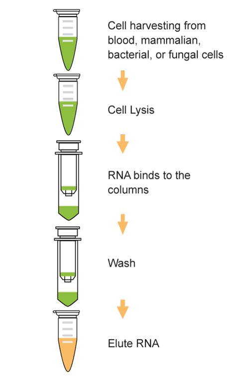 EpiQuik Total RNA Isolation Kit | EpigenTek