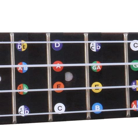 Ukulele Fretboard Stickers Chord Fret Stickers e Sticker Finger Guide 4894829765051 | eBay