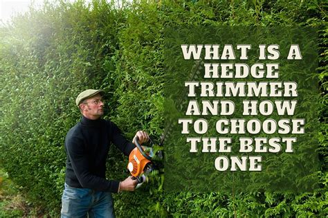 What is a Gas Hedge Trimmer and How to Choose the Best One