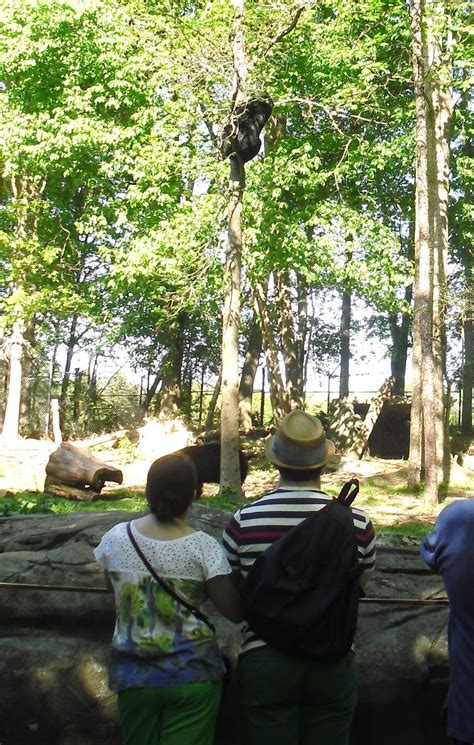 Love 2 Travel With Kids: North Carolina Zoo in Asheboro NC – See Animals, Plants, Art, & Enjoy ...