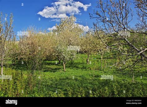 Nature of Caucasus mountains in Armenia Stock Photo - Alamy