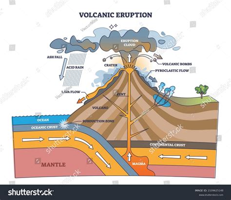 Estructura del proceso de erupción volcánica: vector de stock (libre de ...