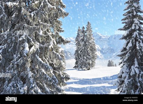 Winter in the Swiss Alps Stock Photo - Alamy