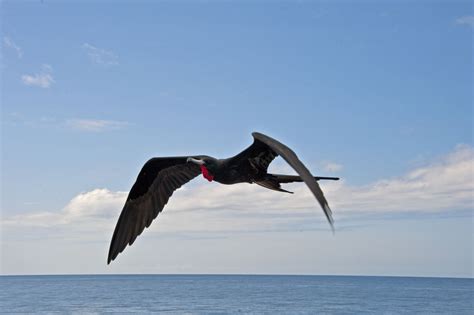 Galapagos Cruise: Day 1 – Cerro Dragon | fromalaskatobrazil