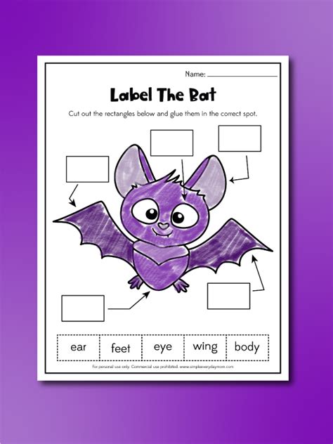 Free Printable Bat Worksheets For Kids