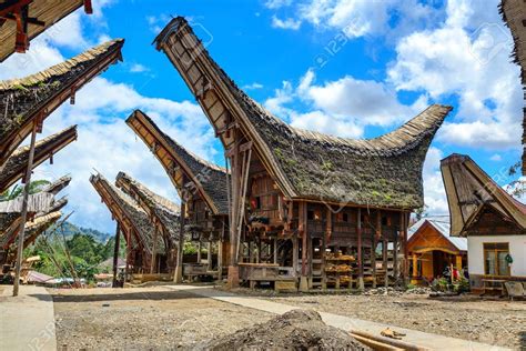 Tongkonan traditional houses in Palava village. Tana Toraja, Sulawesi. Indonesia Stock Photo ...