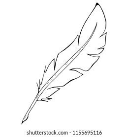 Feather Drawing Photos, Images & Pictures | Shutterstock